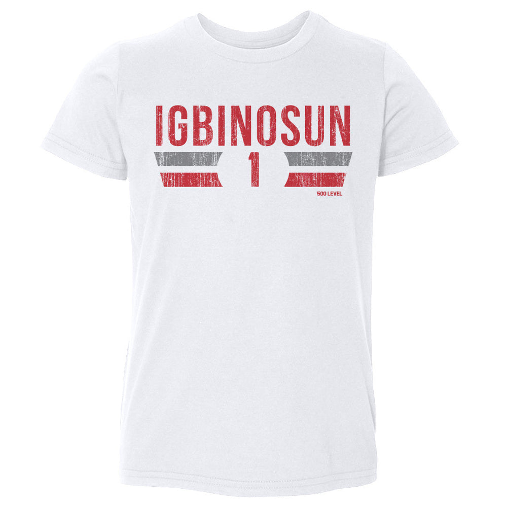 Davison Igbinosun College Font (ONLINE ORDER ONLY)