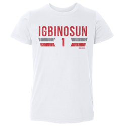 Davison Igbinosun College Font (ONLINE ORDER ONLY)