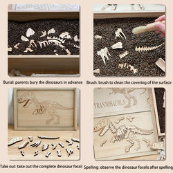 Dinosaur Fossil (ONLINE ORDER ONLY)