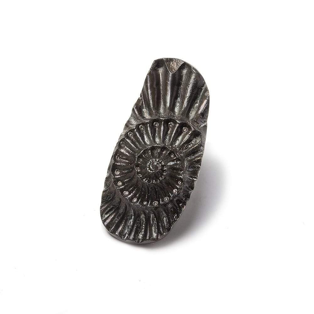 31x13.5mm Pyritized Ammonite  Fossil Focal Bead (ONLINE ORDER ONLY)