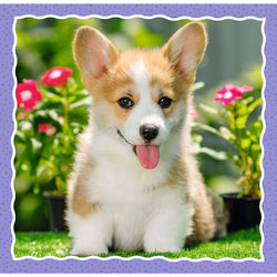 Trefl Preschool 3 in 1 Puzzle - Lovely Dogs (ONLINE ORDER ONLY)