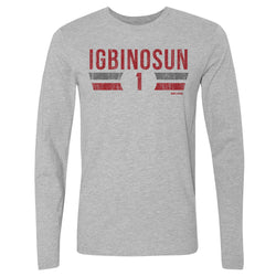 Davison Igbinosun College Font (ONLINE ORDER ONLY)