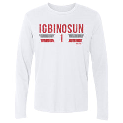Davison Igbinosun College Font (ONLINE ORDER ONLY)