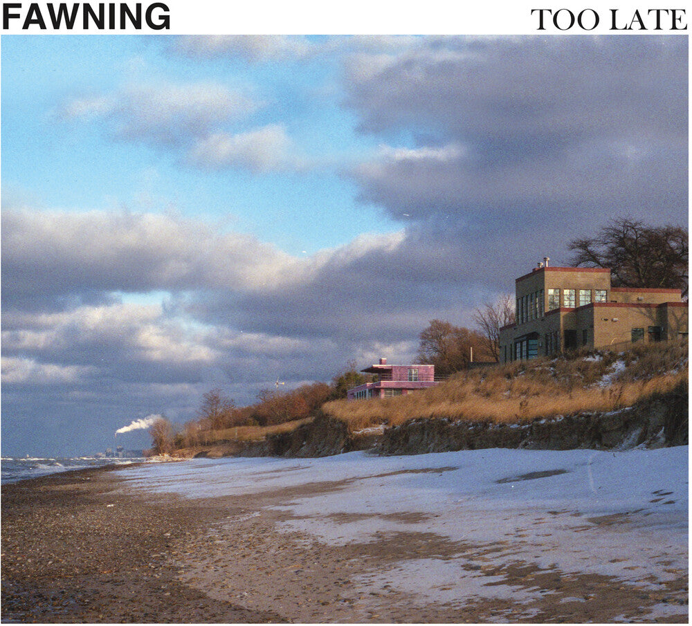 Too Late (Indie Exclusive) [Colored Vinyl] [180 Gram] (Wht)