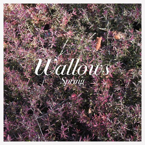 Spring EP [Pink & Green Vinyl]