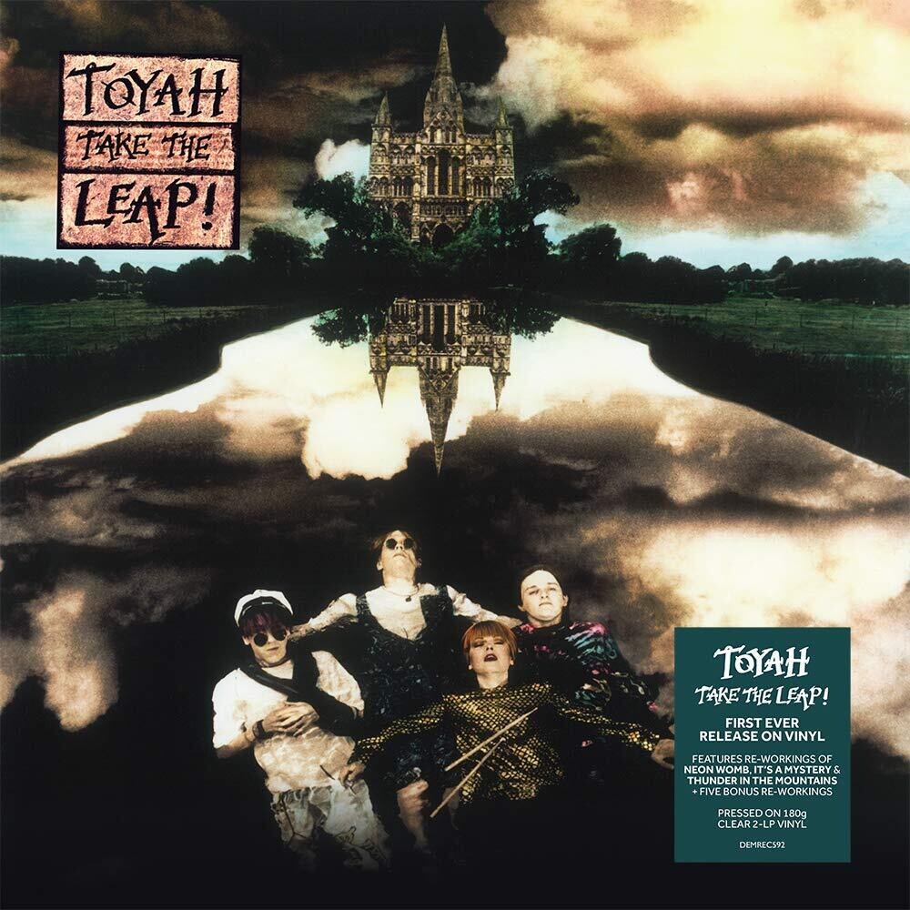 Take The Leap Plus [180-Gram Clear Vinyl]