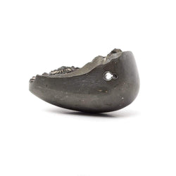 37x29mm Pyritized Ammonite Fossil Bead (ONLINE ORDER ONLY)