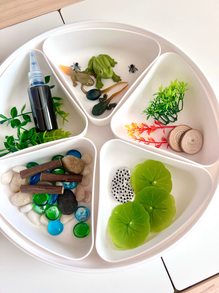 Pond Life Cycle Sensory Kit And Water Play (ONLINE ORDER ONLY)