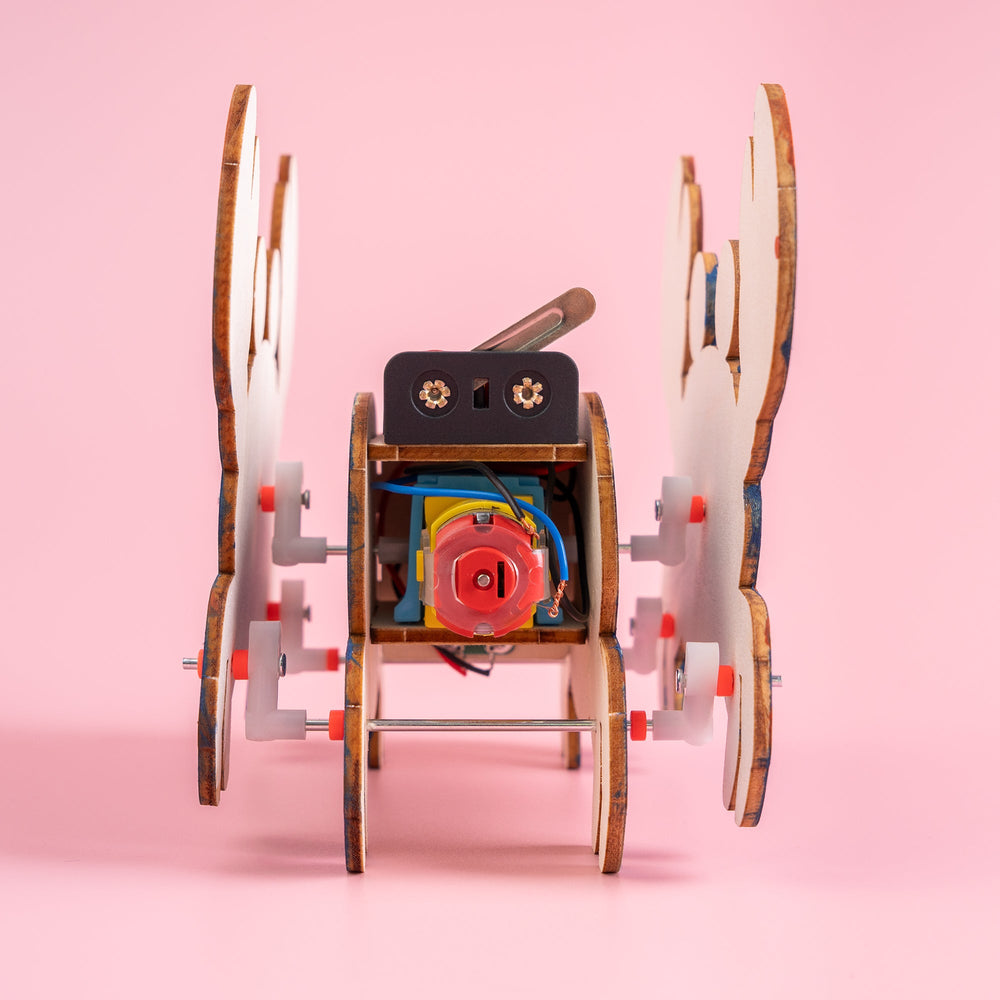 Sound-Activated Walking Crab STEM Kit – Build, Paint & Watch It Walk (ONLINE ORDER ONLY)