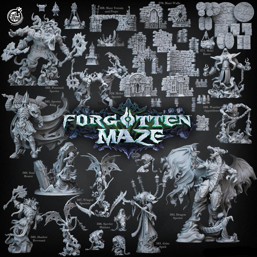 3D Printed Cast n Play Melee Specter Forgotten Maze 28mm 32mm D&D (Online Only)