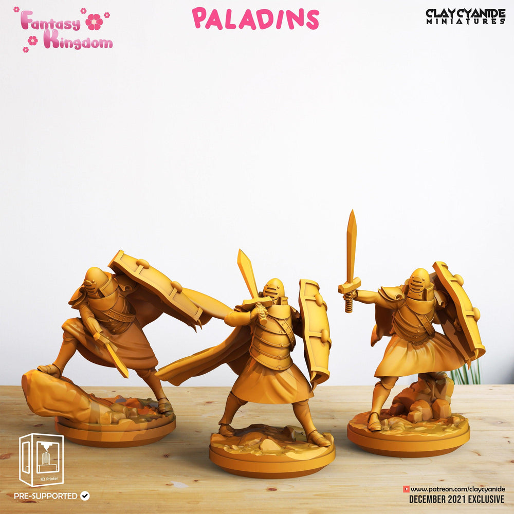 3D Printed Clay Cyanide Fantasy Kingdom - Paladins 28mm 32mm D&D (Online Only)