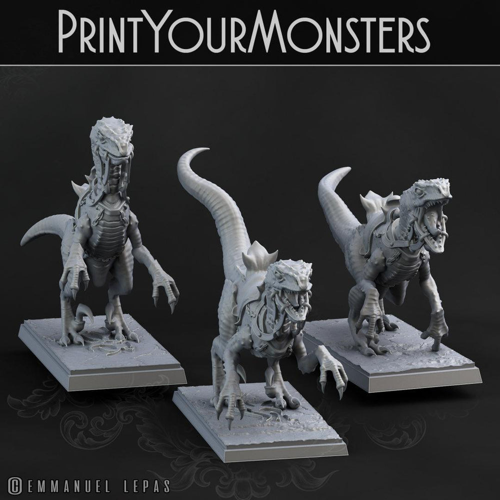 3D Printed Print Your Monsters Dark Elves Raptor Mounts Set 28mm - 32mm D&D Wargaming (Online Only)