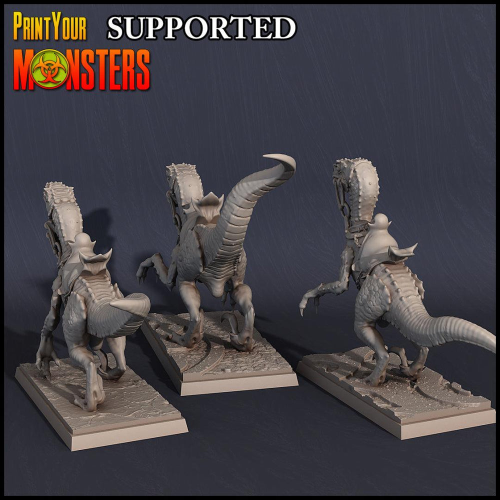 3D Printed Print Your Monsters Dark Elves Raptor Mounts Set 28mm - 32mm D&D Wargaming (Online Only)