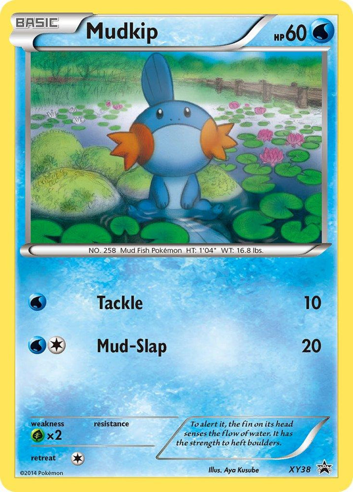 Mudkip (XY38) [XY: Black Star Promos] (Online Only)