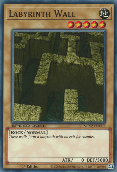 Labyrinth Wall [SGX2-END02] Common (ONLINE ORDER ONLY)