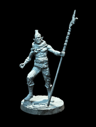 Elf Pirate - Spearman (ONLINE ORDER ONLY)