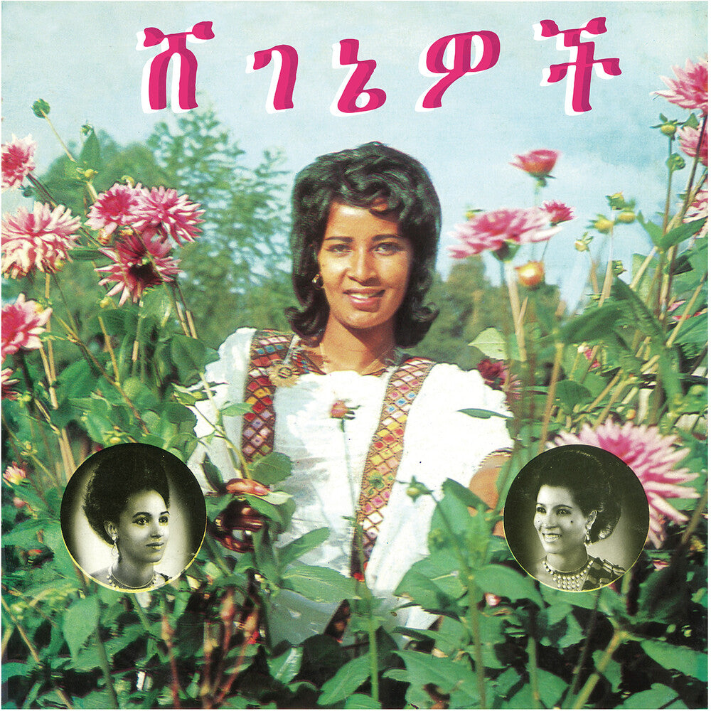 Beauties [LP]
