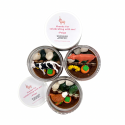 Fun Farm-Themed Play Dough Favors for Kids (ONLINE ORDER ONLY)