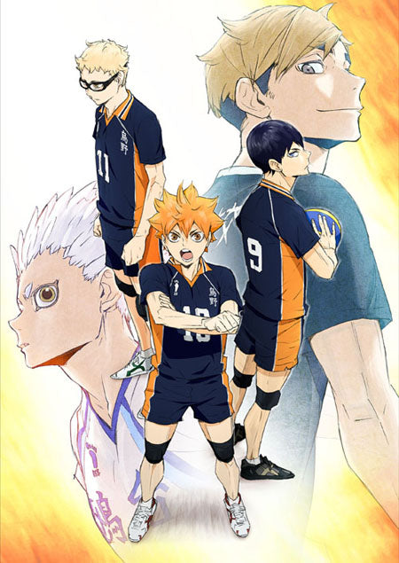 Haikyuu! Wallscroll (ONLINE ORDER ONLY)