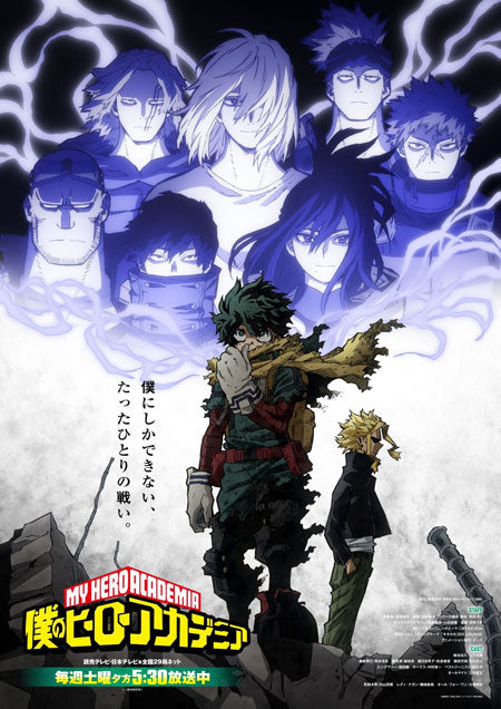 My Hero Academia Wallscroll 334 (ONLINE ORDER ONLY)