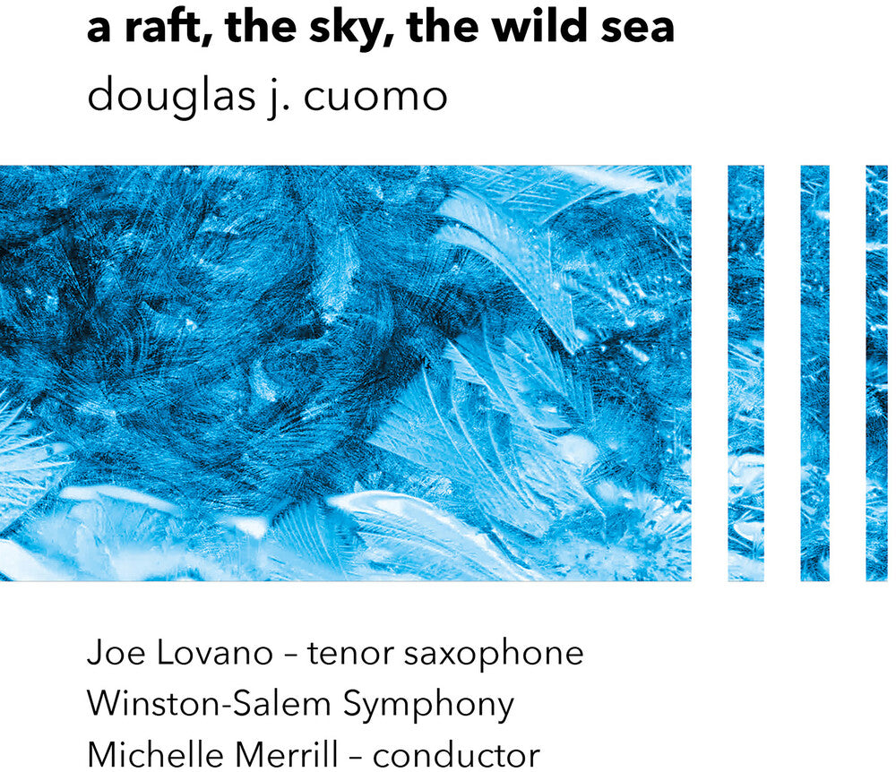 A Raft The Sky The Wild Sea [LP]