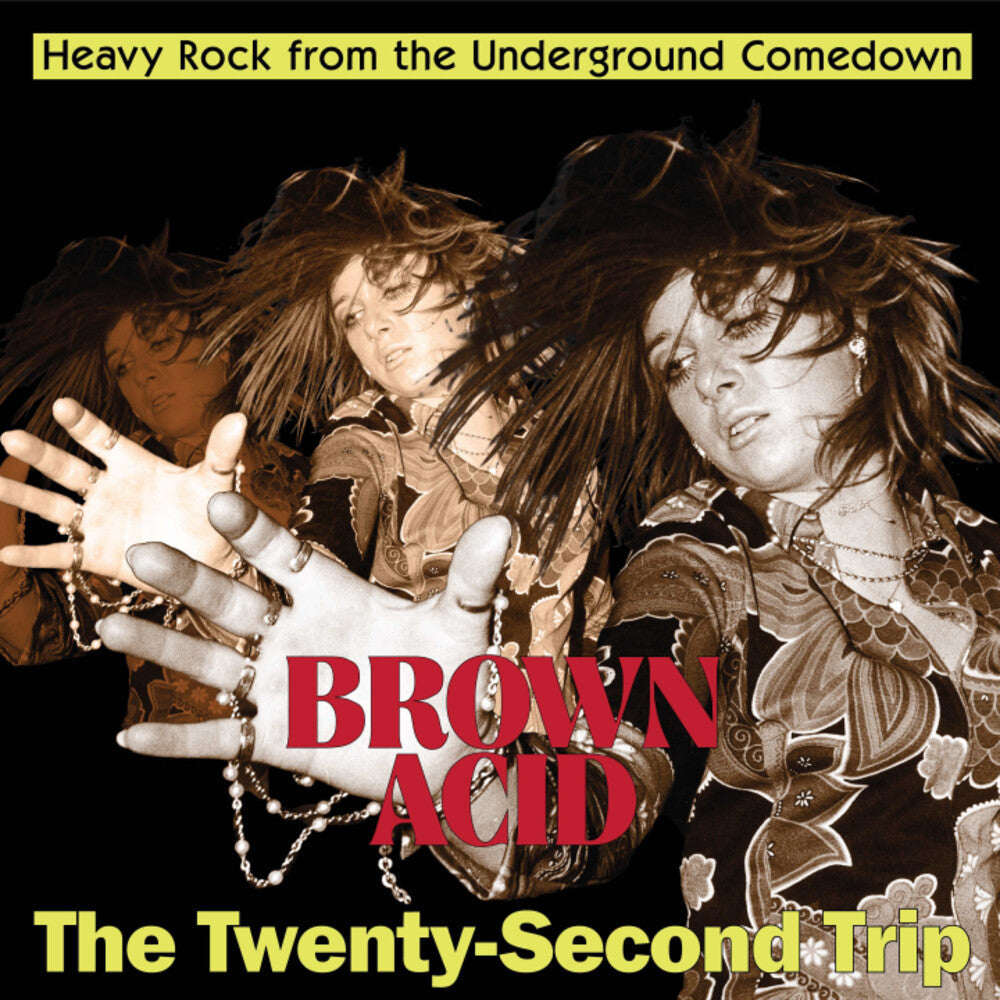 Brown Acid - The Twenty-Second Trip (Various Artists) [CD]