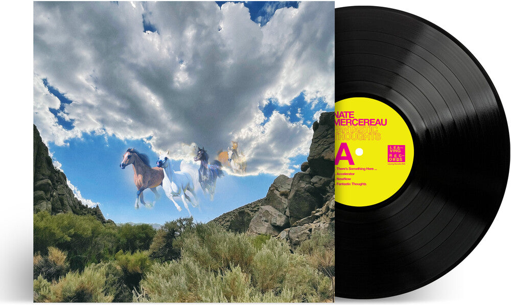 Fantastic Thoughts [LP]