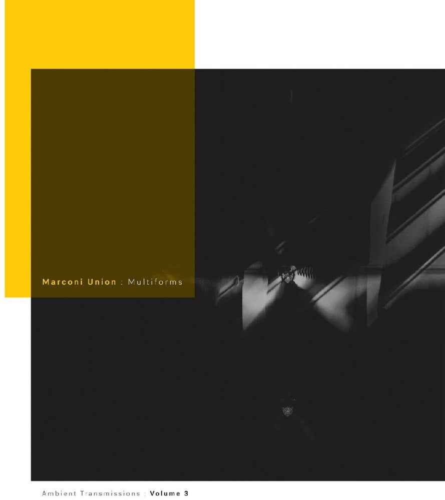 Multiforms: Ambient Transmissions Vol. 3 [LP]
