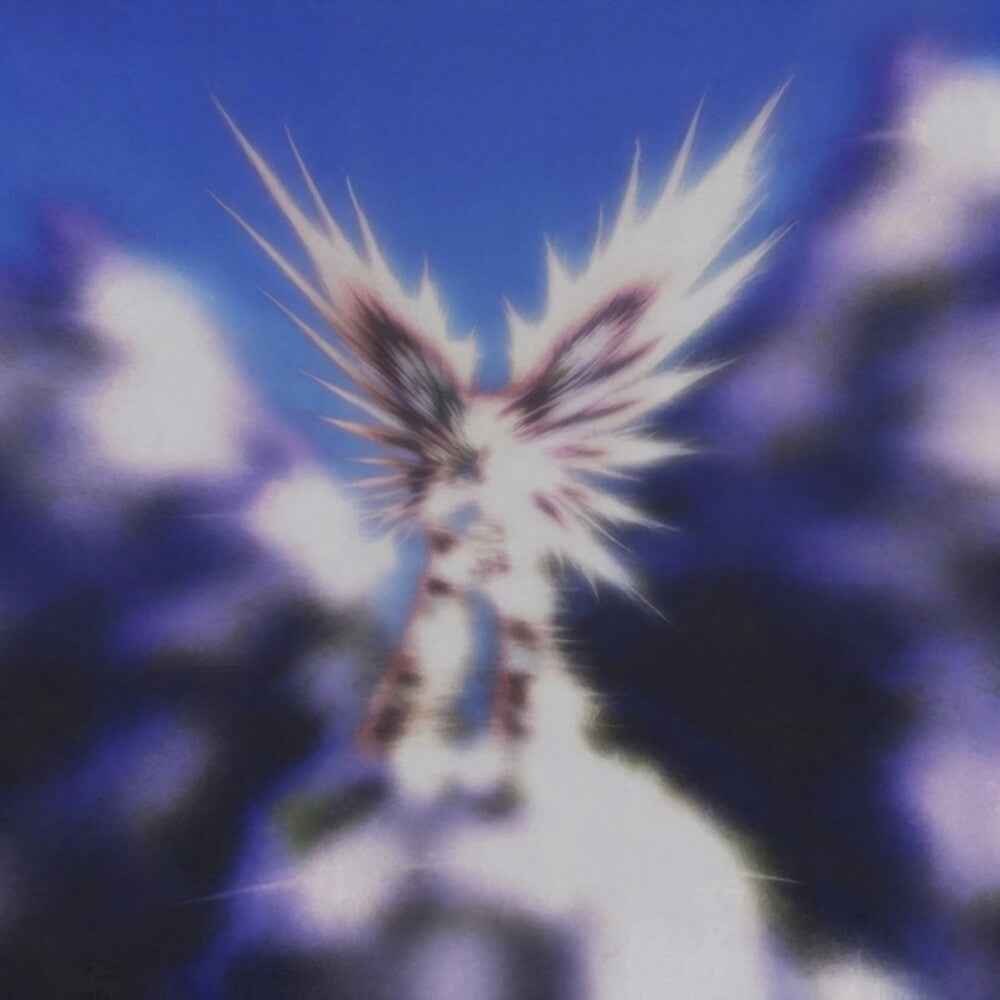 Viagezero [LP] (ONLINE ORDER ONLY)