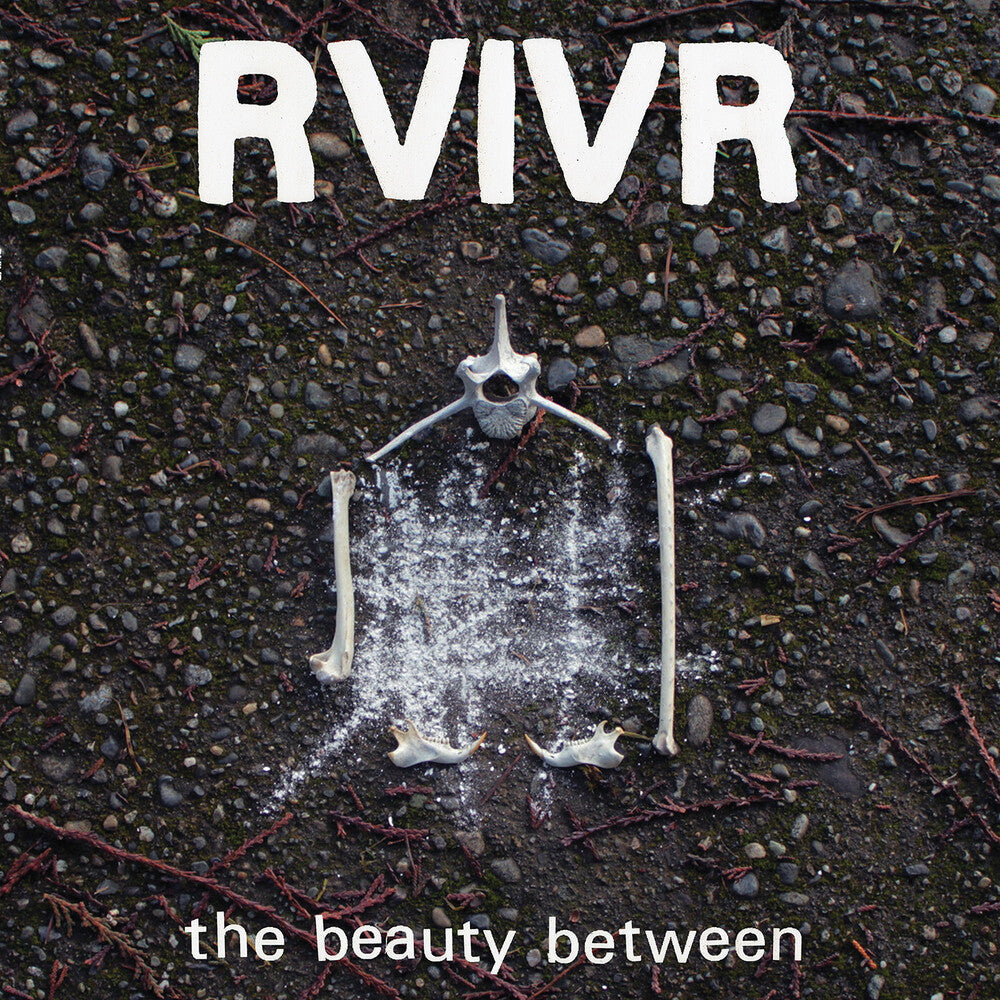 The Beauty Between [Black/Clear]