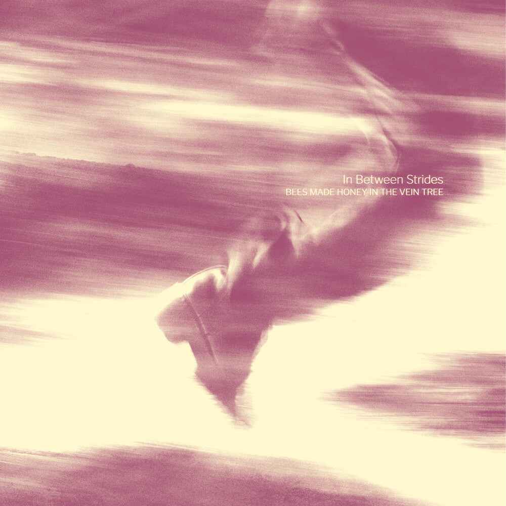 In Between Strides [Digipak] (ONLINE ORDER ONLY)