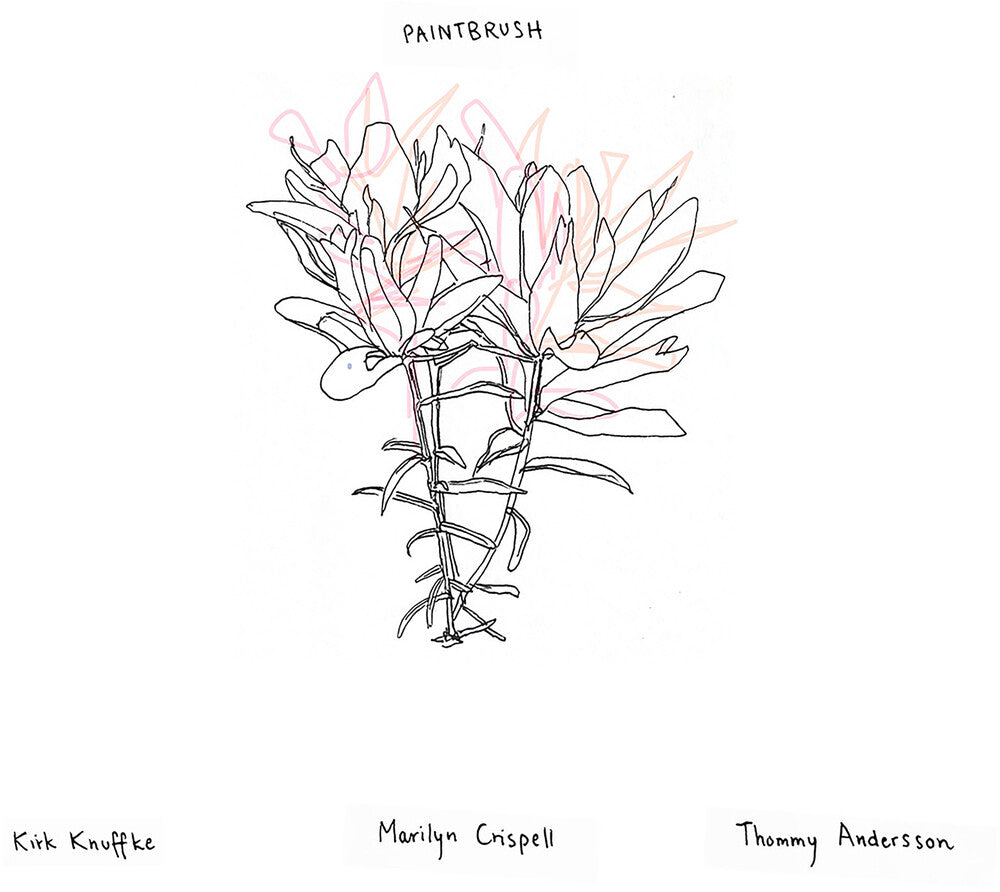 Pre-Order: Paintbrush [CD] (ONLINE ORDER ONLY)