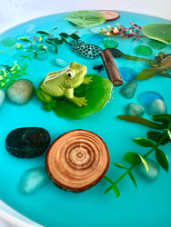 Pond Life Cycle Sensory Kit And Water Play (ONLINE ORDER ONLY)