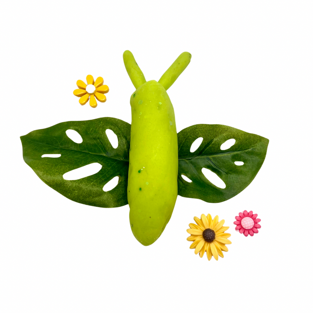 Butterfly & Bug Playdough Sensory Kit: Educational Insect-Themed Play Kit (ONLINE ORDER ONLY)