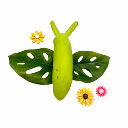 Butterfly & Bug Playdough Sensory Kit: Educational Insect-Themed Play Kit (ONLINE ORDER ONLY)