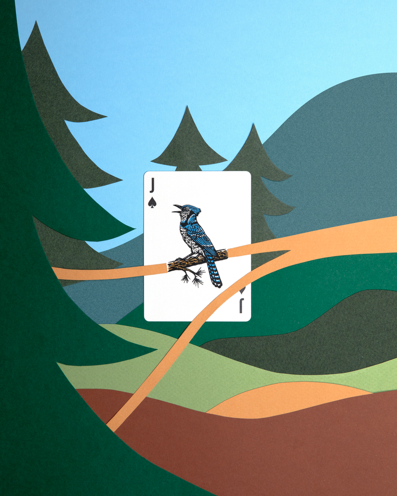Smokey Bear Playing Cards (ONLINE ORDER ONLY)