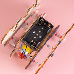 Sound-Activated Walking Crab STEM Kit – Build, Paint & Watch It Walk (ONLINE ORDER ONLY)