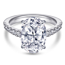 The Sophia (ONLINE ORDER ONLY)