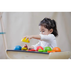 Rainbow Color, Match & Count Wooden Sorting (ONLINE ORDER ONLY)