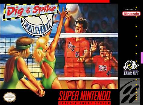Dig and Spike Volleyball (Super Nintendo) (Online Only)