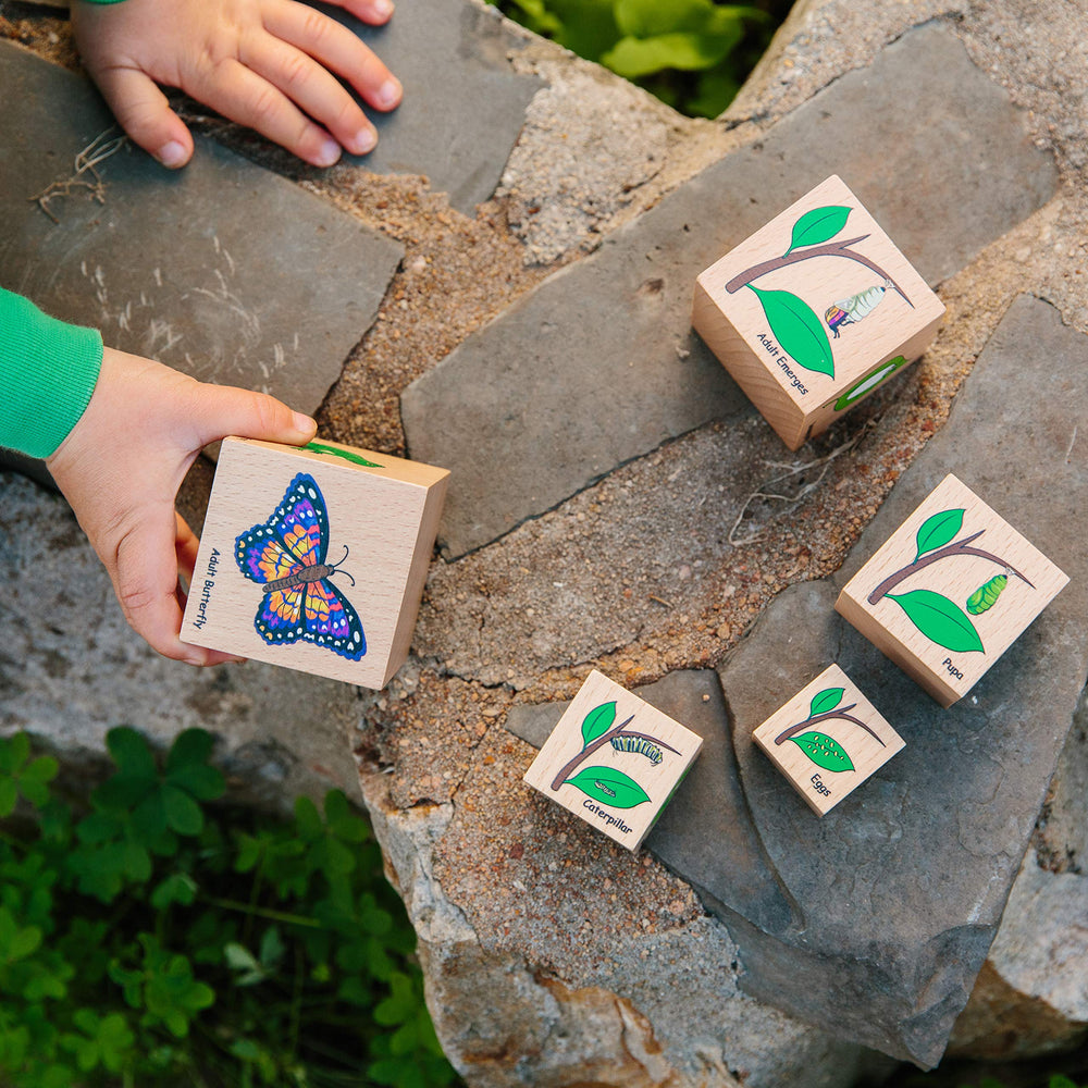 Life Cycle Wooden Blocks (ONLINE ORDER ONLY)