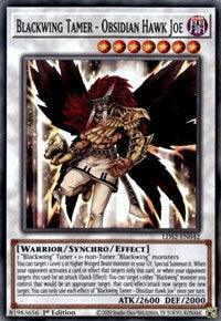 Blackwing Tamer - Obsidian Hawk Joe [LDS2-EN042] Common (ONLINE ORDER ONLY)