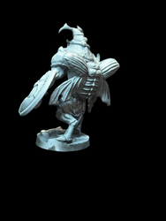 Beetle Warrior (ONLINE ORDER ONLY)
