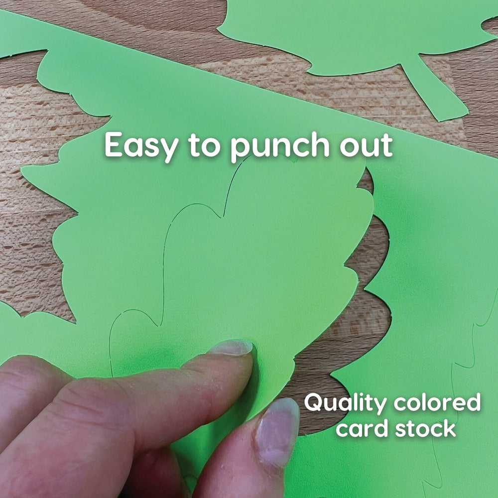 Spring Shape Cutouts (ONLINE ORDER ONLY)