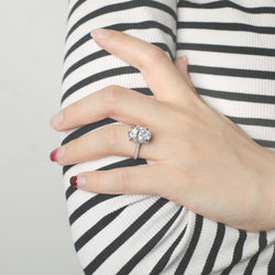 The Sophia (ONLINE ORDER ONLY)