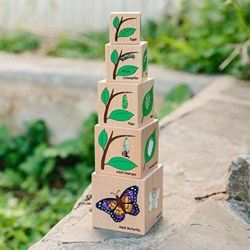 Life Cycle Wooden Blocks (ONLINE ORDER ONLY)