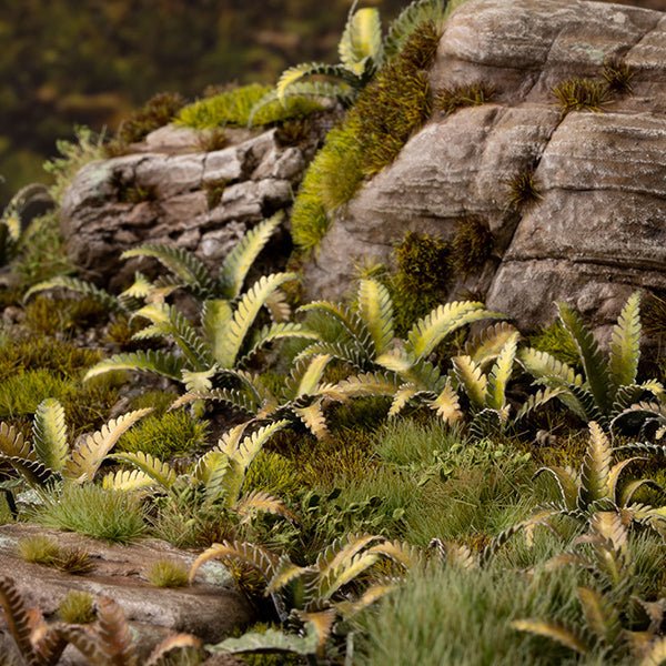 Gamers Grass Laser Plants: Deer Fern (ONLINE ORDER ONLY)