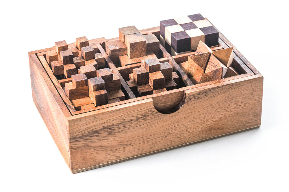 6 STEM Puzzle Gift Set - Wooden Puzzle Brain Teaser (Online Order Only)