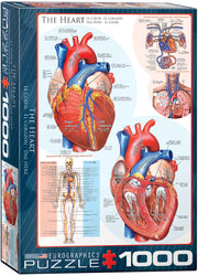 Puzzle: History & General Interest - The Heart (ONLINE ORDER ONLY)