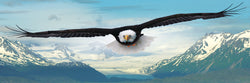 Puzzle: Panoramic Puzzles - Eagle (ONLINE ORDER ONLY)